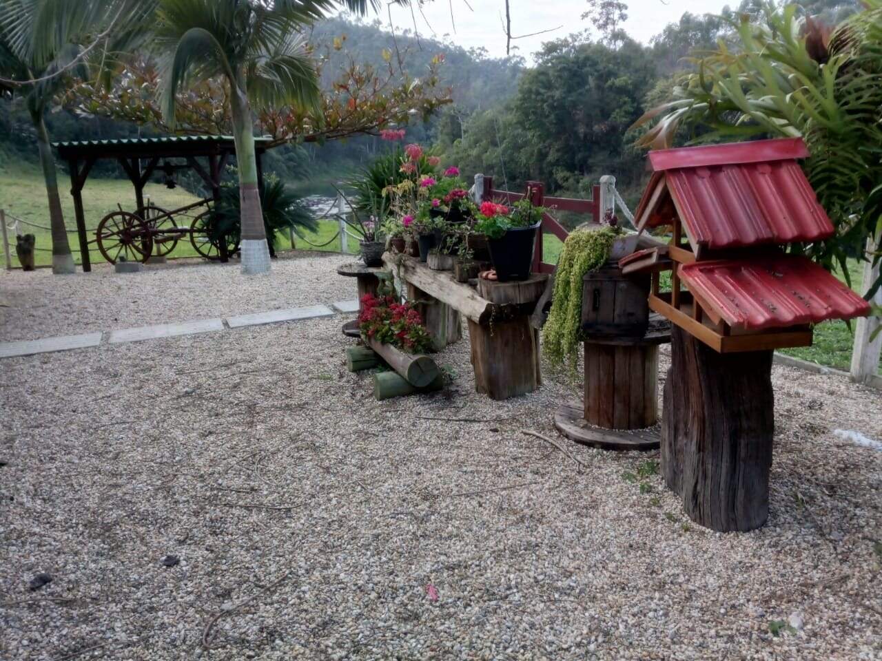 Sítio/Chácara à venda no bairro Águas Negras: 